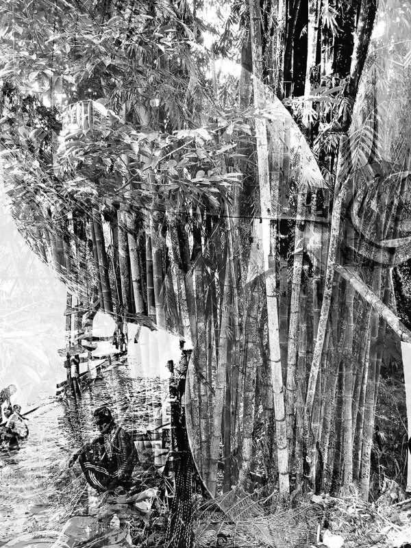 ADN-BW-4x3