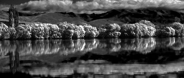 NZ4769-BW-40x17